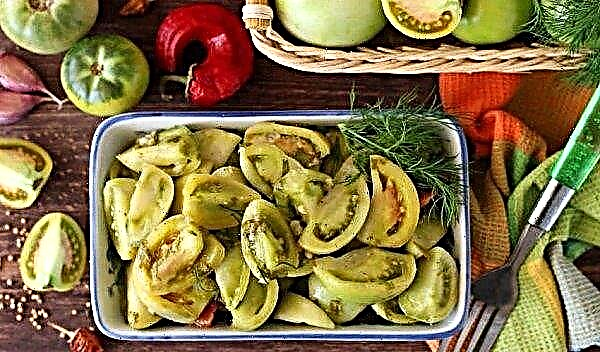 Pickled green instant tomatoes: the best recipes