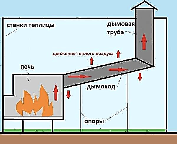 A wood-burning stove for a greenhouse: what is it installed for, types of stoves, how to make a greenhouse heating yourself