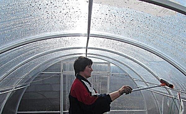 Invernadero prefabricado de policarbonato: cómo hacer un invernadero plegable con sus propias manos, cómo arreglarlo