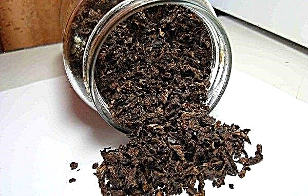 Fermentation du tabac à domicile: préparation et méthodes, photo