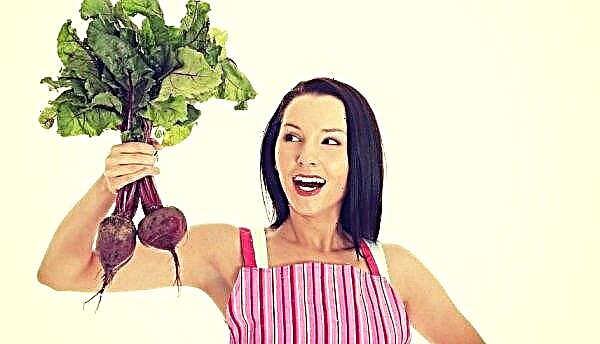 Red beets: benefits and harms for the human body, medicinal properties and contraindications