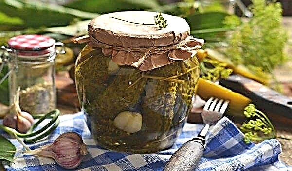 Kalla inlagda gurkor för vintern med senap: de bästa recepten med steg-för-steg matlagning