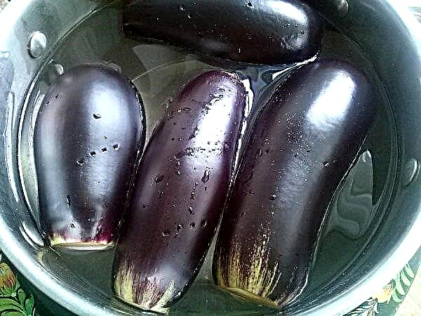 Do eggplants peel: why clean and how to