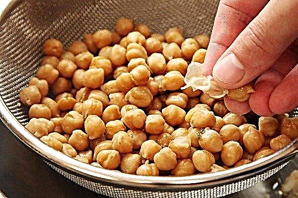Chickpeas for children: useful and harmful properties, at what age you can give, rules for admission