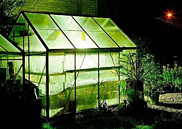 Lighting for a polycarbonate greenhouse: types of lighting, what should be and how to correctly calculate the power, how to do it yourself, video
