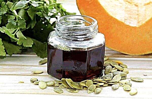Pumpkin oil: benefits and harms, medicinal properties and contraindications, instructions for use