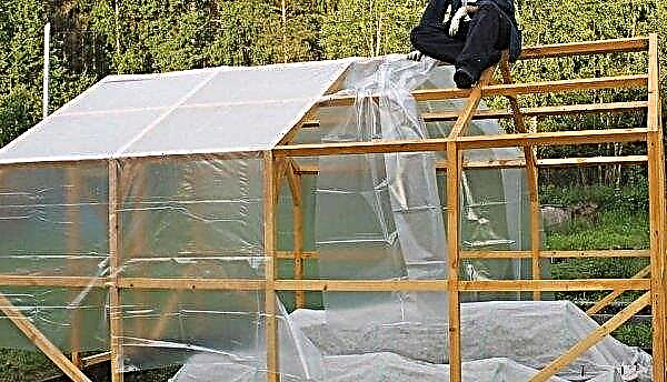How to build a greenhouse from a tree with your own hands - drawings and diagrams