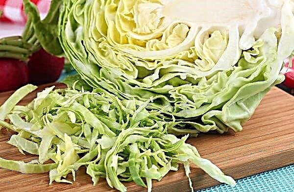 Cabbage SB-3 F1: description and characteristics of the variety, advantages and disadvantages, planting and care, photo