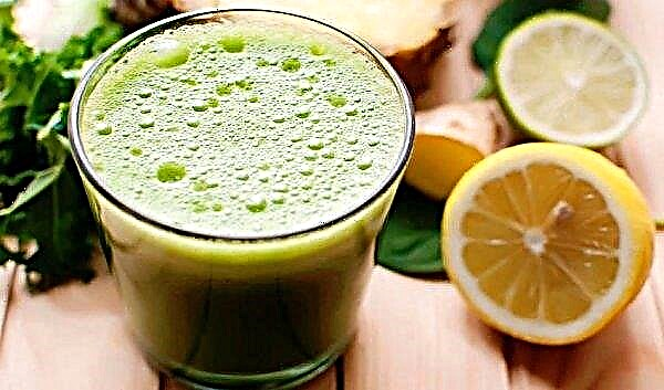 Therapeutic mixture of lemon, honey and celery: a recipe that helps