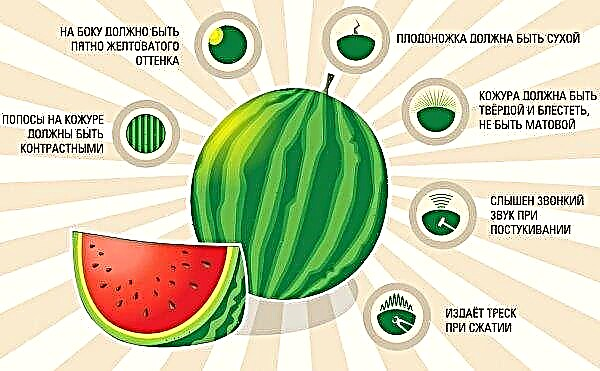 Is it possible to eat a watermelon with stones in the gall bladder: chemical composition and calorie content, norms of use