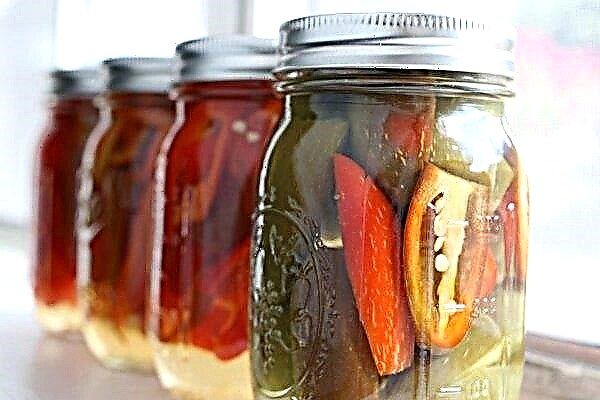 How to marinate hot peppers at home: the best recipes with step-by-step cooking, useful tips, photos, videos