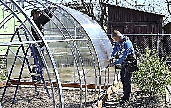 Polycarbonate greenhouses 2 m wide: types, designs, descriptions, manufacturing from improvised materials, installation methods