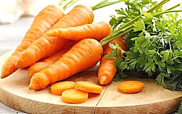 Morcovi cu diabet zaharat tip 2: cât de mult zahăr este în morcovii cruzi, puteți mânca sau nu, beneficiile și răul