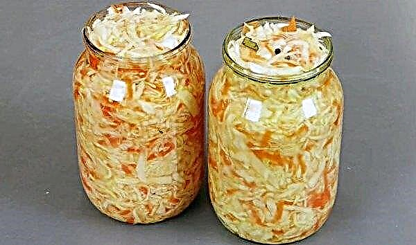 Sauerkraut for hypertension: chemical composition and calorie content, benefits and harms, rules for use