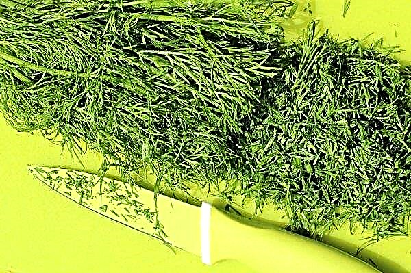 Dill for the face: benefits and terms of use, recipes