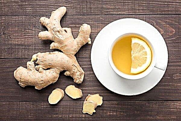 Ginger during menstruation, can I drink tea with ginger during menstruation