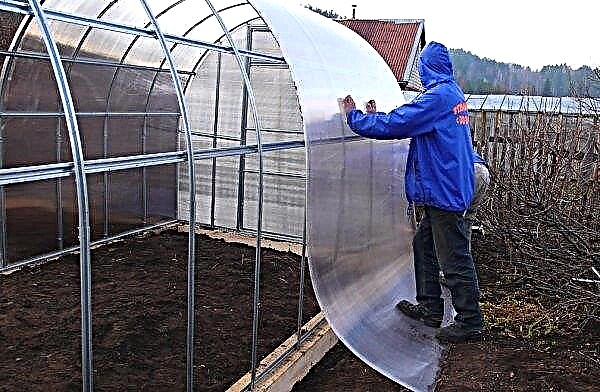 Greenhouse "2-Doom": features and characteristics, calculation of polycarbonate, assembly instructions, photo