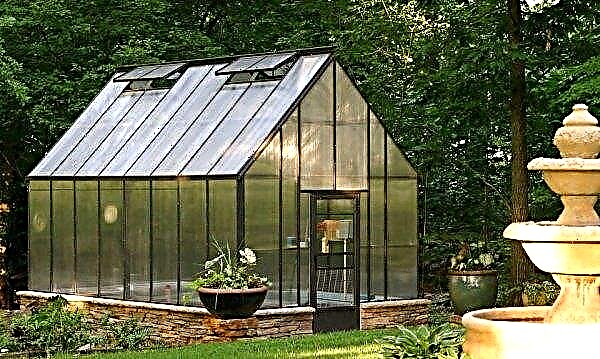 Beautiful greenhouses: types of how to do it yourself from polycarbonate, wood, glass, photo