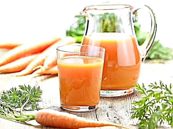 Come mangiare le carote: metodi e regole d'uso, proprietà utili e danni delle carote al corpo