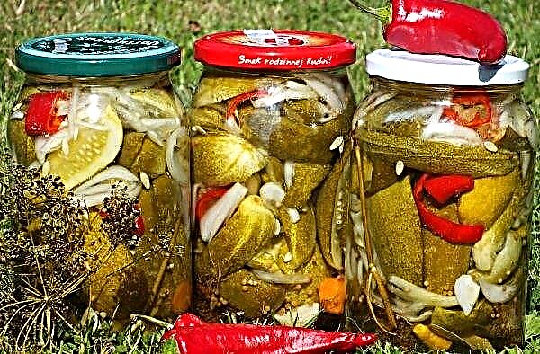 Pickled crisps for the winter: the best recipes with step by step cooking, photos, video