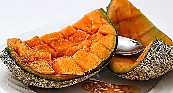 Melon pour la gastrite: est-il possible de manger, les avantages et les inconvénients, les normes de consommation