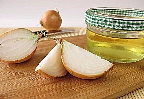Onion from cough: folk recipes, cooking at home, how to take it correctly