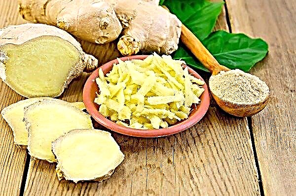 Ginger from cystitis in women with urethritis: how the root acts, recipes for folk remedies