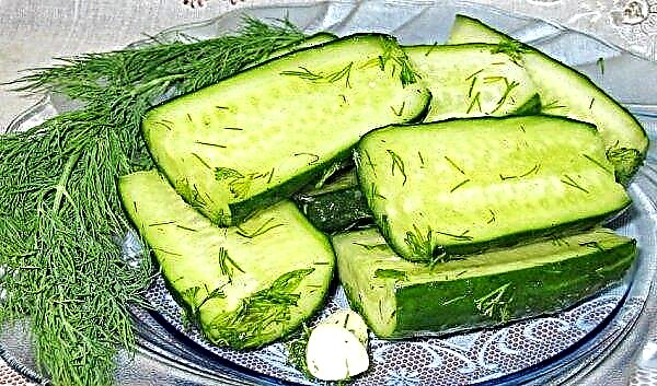 Dry pickling cucumbers: a step by step recipe for cooking in a package, video