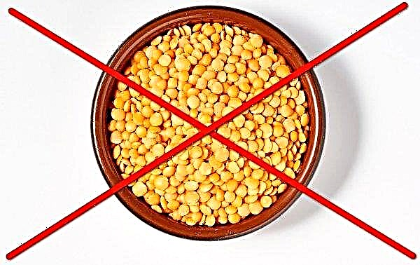 Which lentils are healthier: red, green, orange, brown or yellow, what is their difference, what is the tastiest