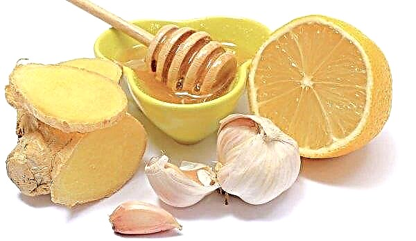 How with the help of honey, ginger and garlic you can increase immunity, recipes