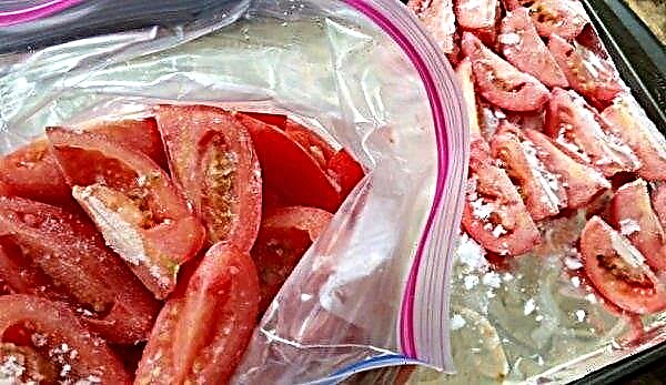 Как да замразите доматите за зимата у дома: основните начини, най-добрите рецепти със снимки, как да използвате замразен продукт