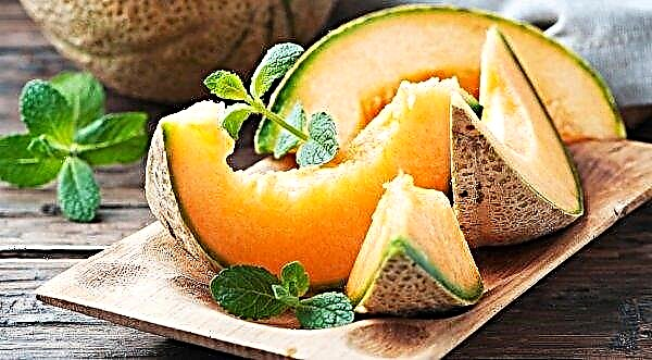 Est-il possible de conserver le melon au réfrigérateur: le pour et le contre, les moyens de le conserver entier et coupé