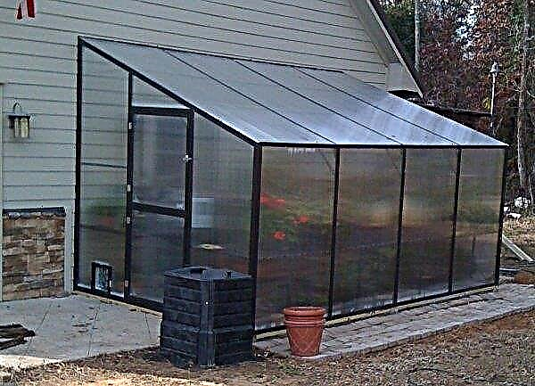 How to make a wall-mounted greenhouse with your own hands: sizing, step-by-step instructions on how to choose a ready-made greenhouse from the manufacturer, photo