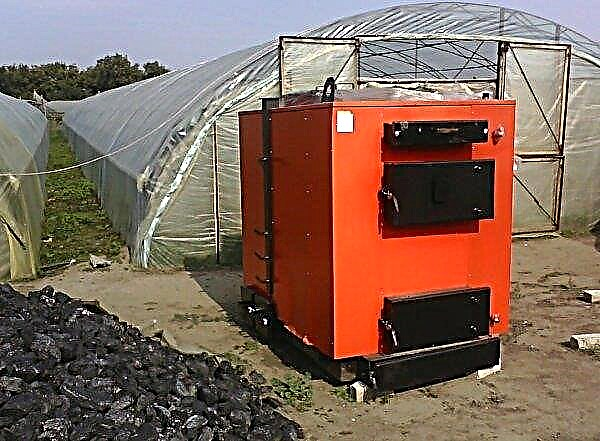 A boiler for heating a greenhouse: types, how to calculate what is needed, how to make and install with your own hands, video