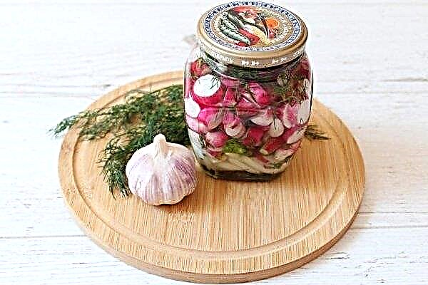 How to prepare radishes for the winter: the best recipes, photos