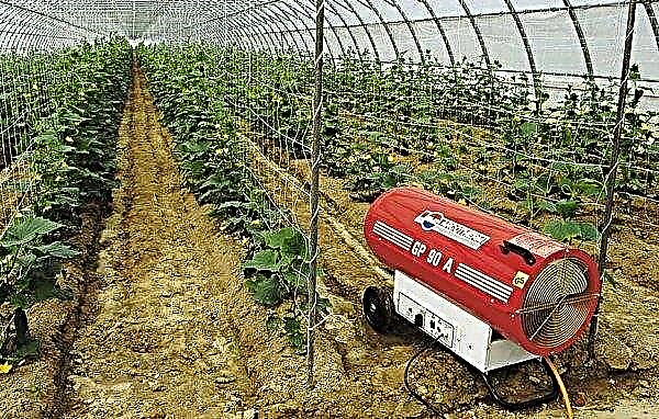 Smart automatisk polykarbonat växthus: funktioner, med fjärråtkomst, hur du gör det själv