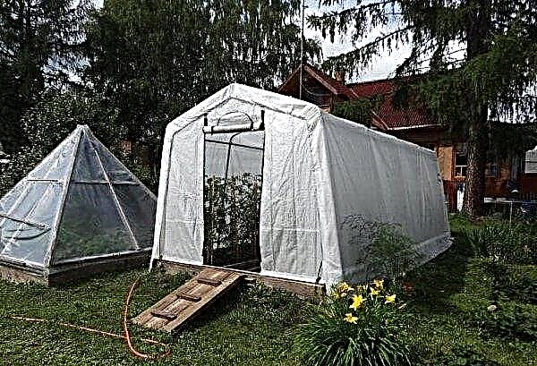 Awning greenhouses: advantages and disadvantages, drawings and assembly instructions