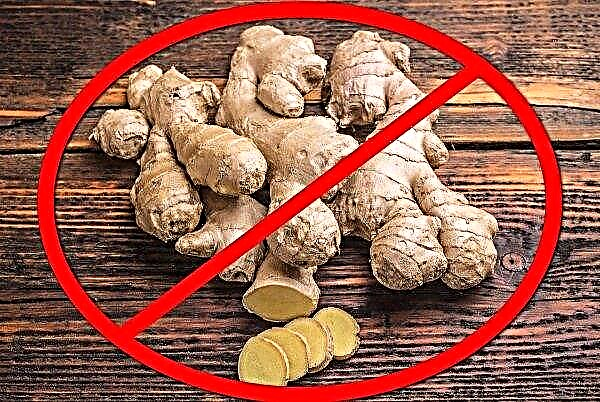 Ginger for psoriasis: is it possible to eat a root for the disease, several recipes