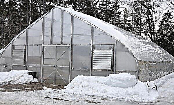 Gör-det-själv-isolering av ett polykarbonatväxthus för vintern: vilka alternativ är för att värma upp jord, golv, fundament och tak