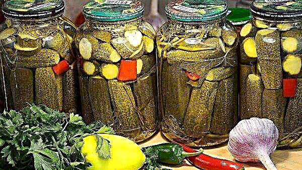 Söta gurkor för vintern: de mest läckra recept, utan sterilisering, med vinäger, lök, med senap