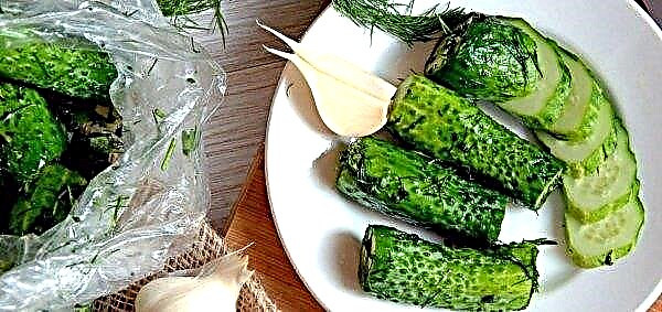 Краставици от кисели краставици: най-добрите рецепти, стъпка по стъпка готвене с оцет, в торбичка, с чесън и билки