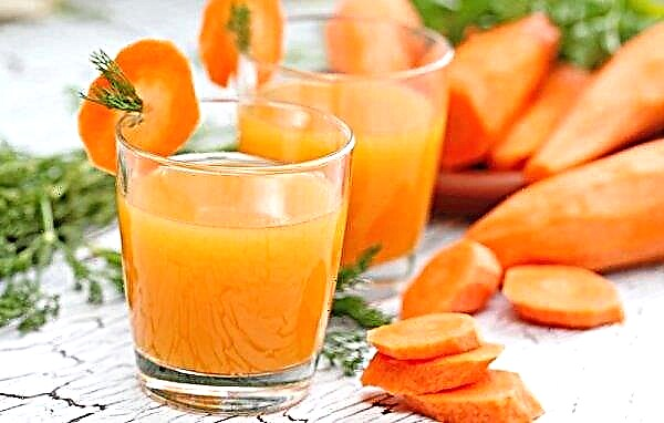 Jus de carotte en oncologie: avantages et inconvénients, comment boire correctement, caractéristiques du traitement