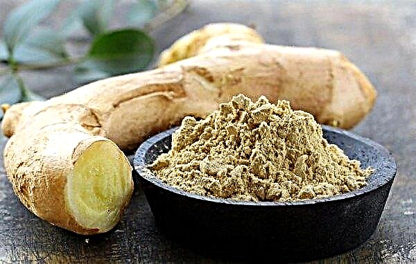 The use of ginger against helminths and other parasites in the human body: methods, reviews