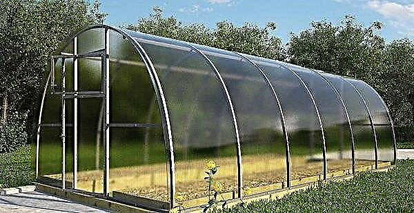 Frame for a greenhouse: how to do it yourself, the best options for frames, sizes and drawings