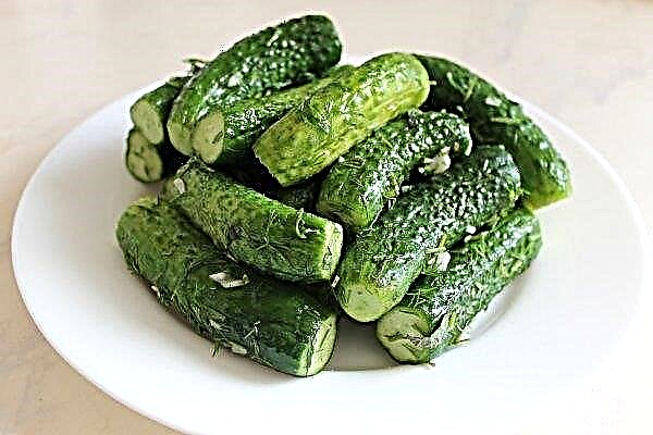 Cold salted cucumbers - the best recipe on video