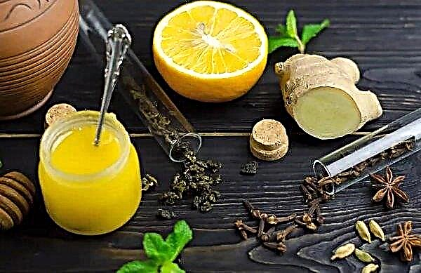 Thé vert au gingembre: avantages et inconvénients, contre-indications, comment utiliser pour perdre du poids