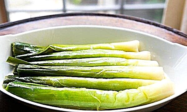 Leek, benefits and harm to the body: features of application, medicinal properties