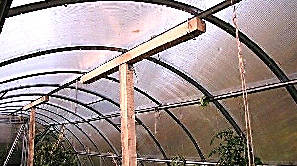How to strengthen a polycarbonate greenhouse for the winter with your own hands: the main methods, photo