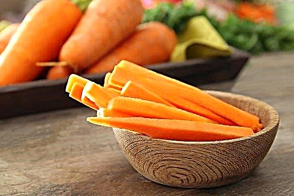Zanahorias durante el embarazo: cómo usar las zanahorias y cuánto comer, dependiendo de la duración del embarazo