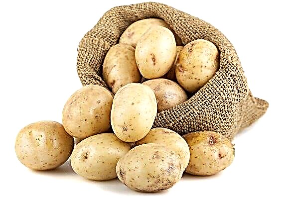 Potatoes varieties White Swan: description, characteristics, cultivation and care in the open ground, photo